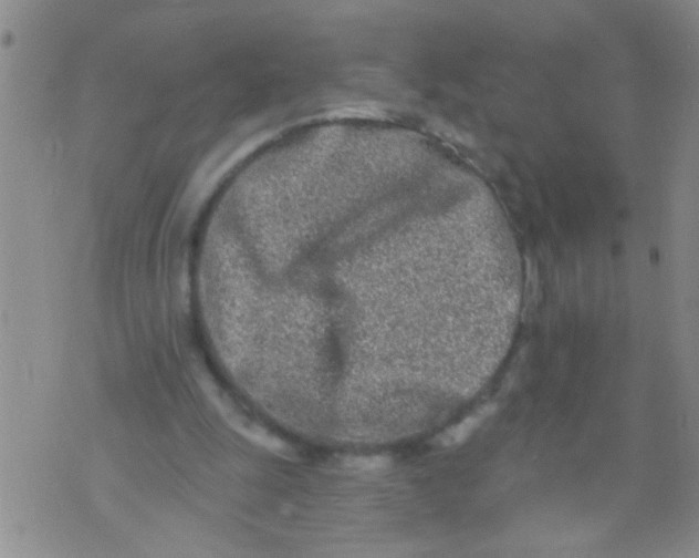 X0000073930247200609082310