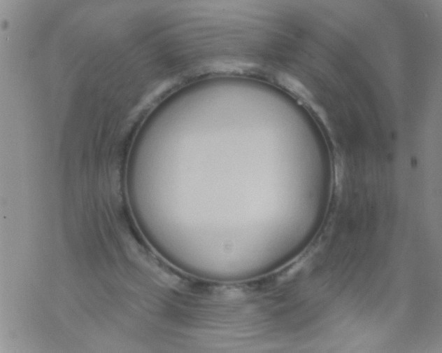 X0000073930249200609082310