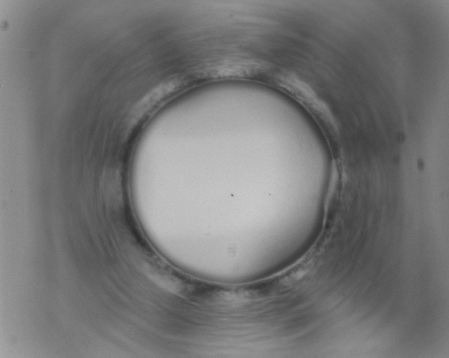 X0000073930250200609082310