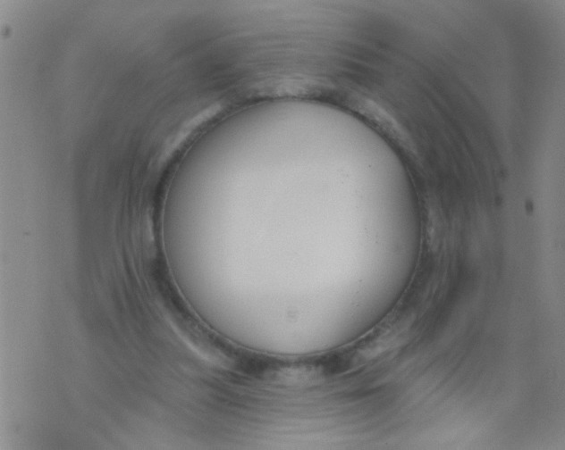 X0000073930251200609082310