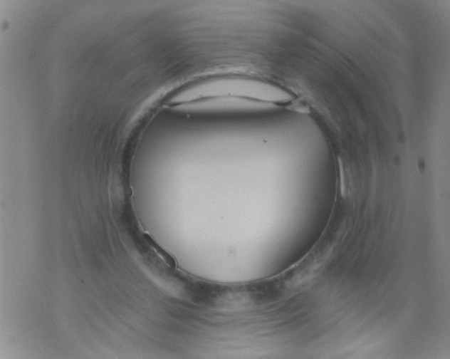 X0000073930252200609082310