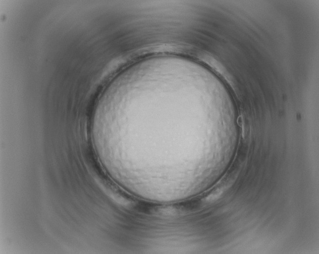 X0000073930253200609082310