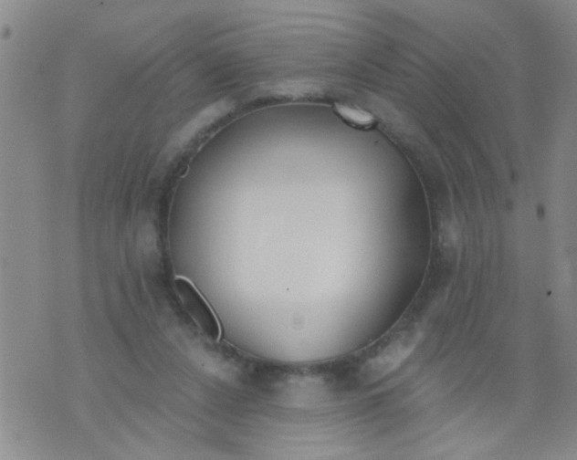 X0000073930256200609082310