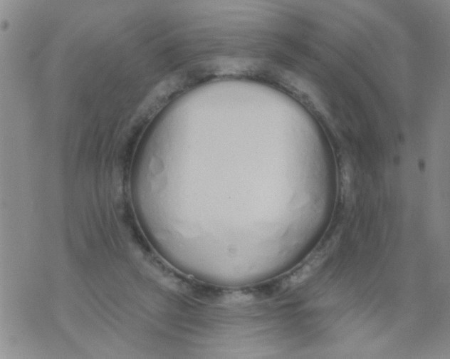 X0000073930257200609082310