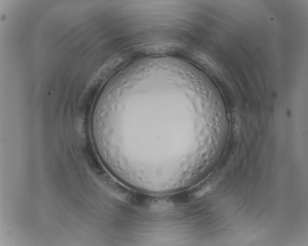 X0000073930258200609082310