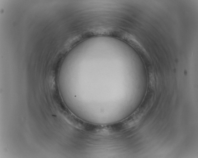 X0000073930259200609082310