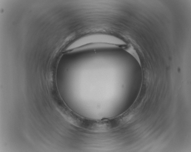 X0000073930260200609082310