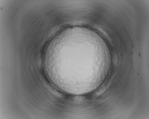 X0000073930261200609082310