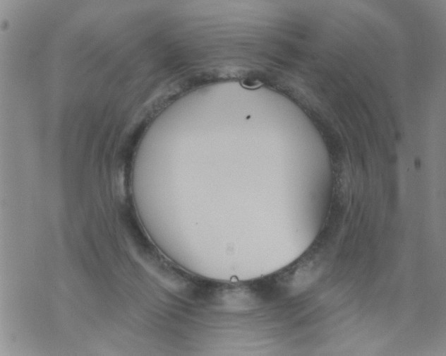 X0000073930262200609082310