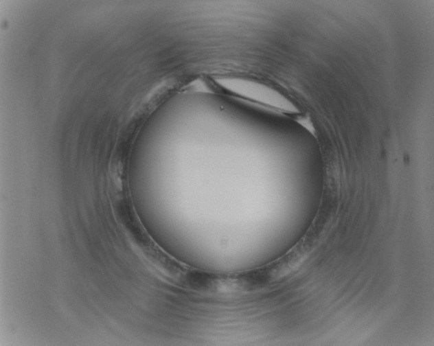 X0000073930264200609082310