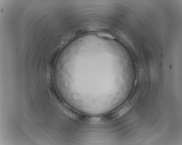 X0000073930265200609082310