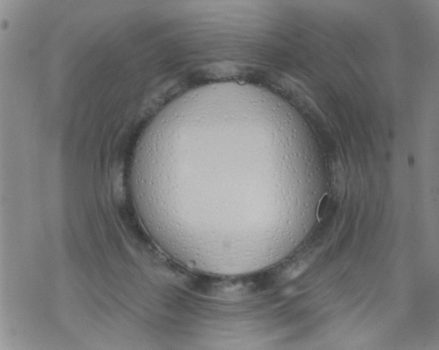 X0000073930267200609082310