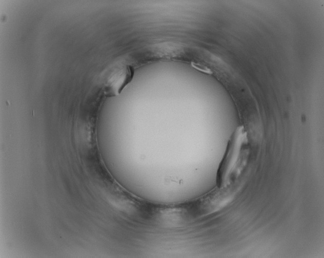 X0000073930268200609082310