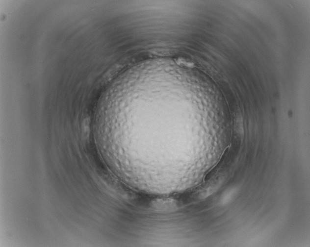 X0000073930271200609082310