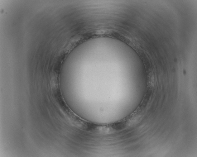 X0000073930272200609082310