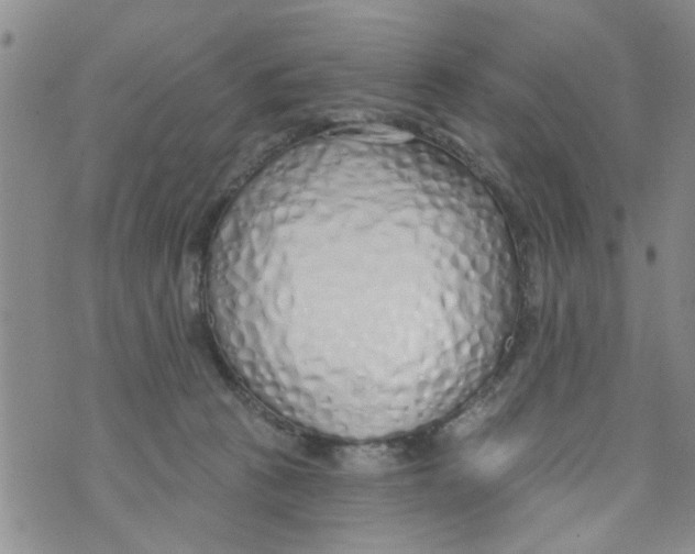 X0000073930273200609082310