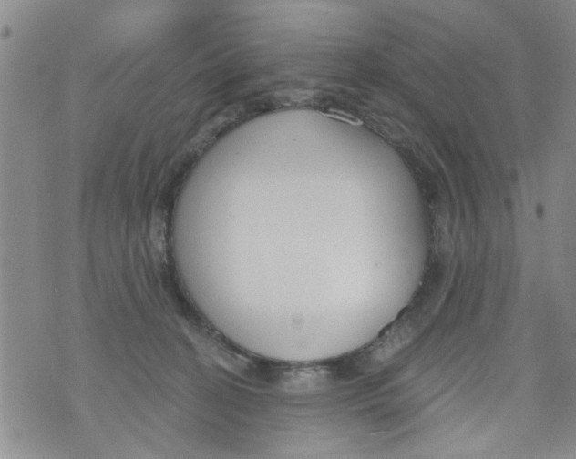 X0000073930274200609082310