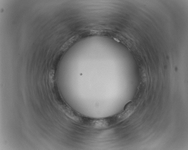 X0000073930275200609082310