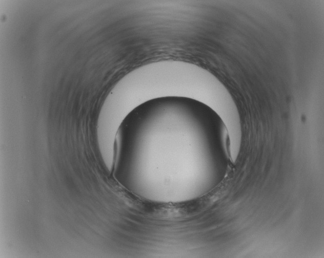 X0000073930276200609082310