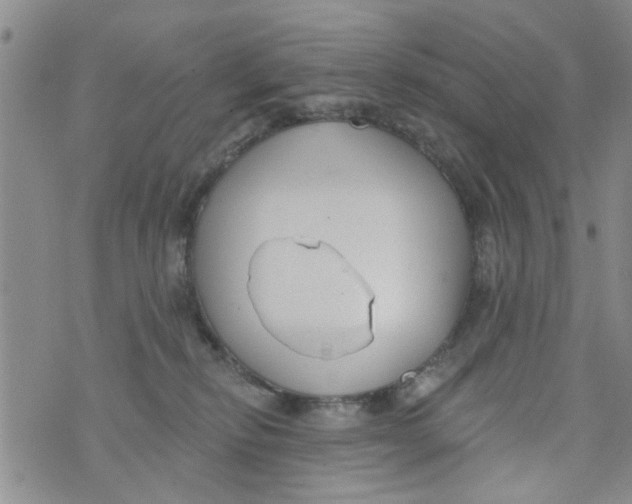 X0000073930278200609082310