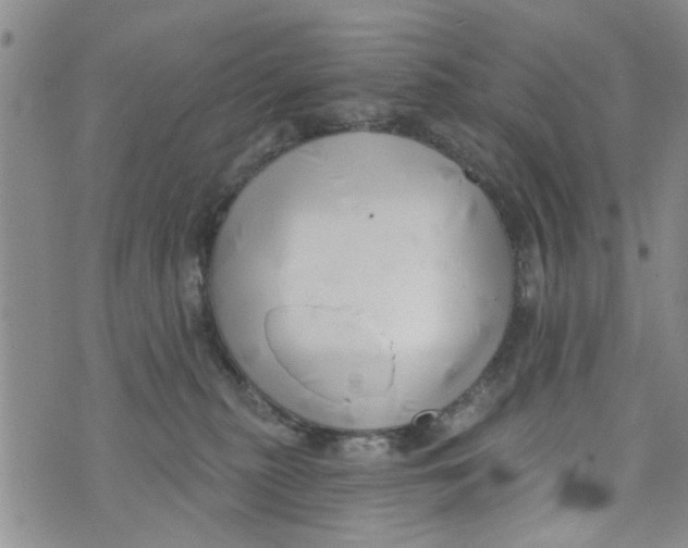 X0000073930279200609082310