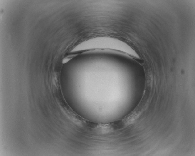 X0000073930280200609082310