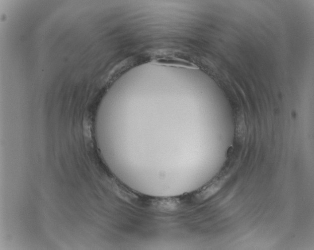 X0000073930282200609082310