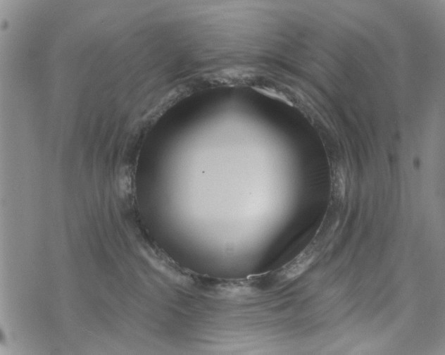 X0000073930284200609082310