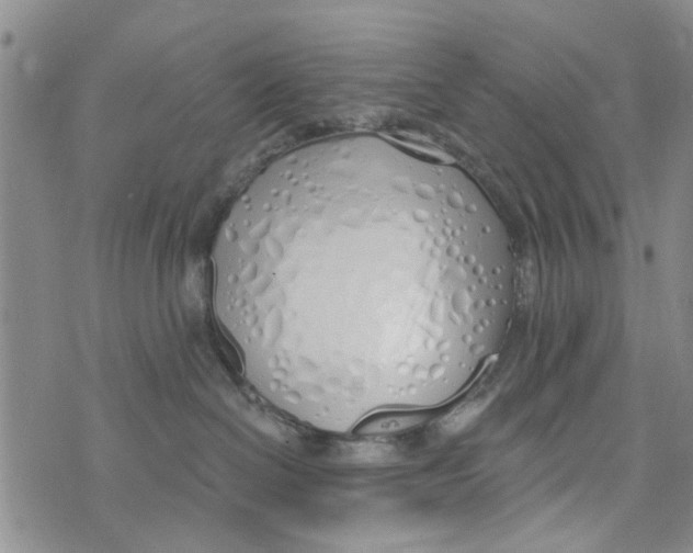 X0000073930286200609082310