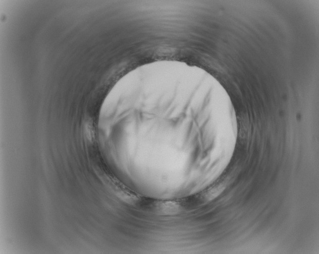 X0000073930287200609082310