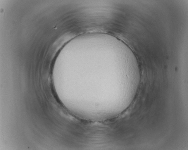 X0000073930290200609082310