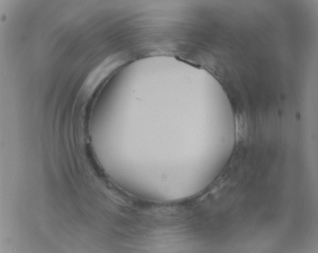 X0000073930291200609082310