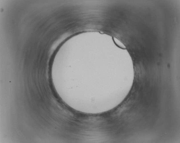 X0000073930292200609082310