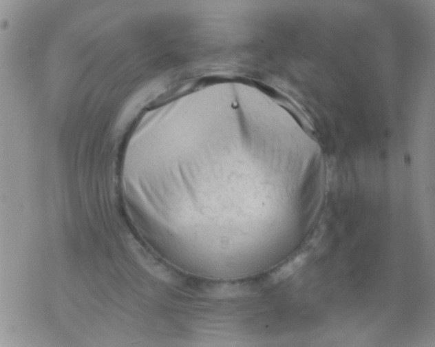 X0000073930293200609082310