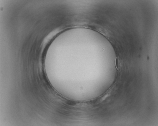 X0000073930294200609082310