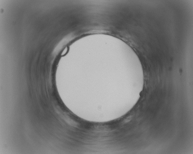 X0000073930296200609082310