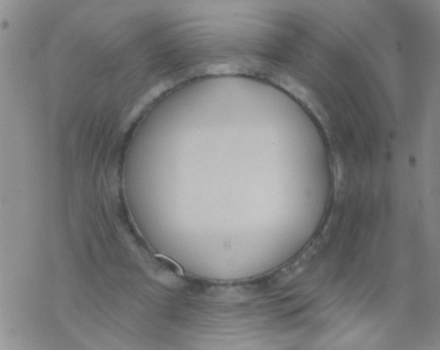 X0000073930297200609082310