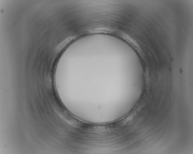 X0000073930298200609082310