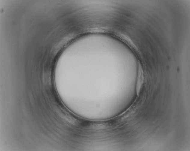 X0000073930299200609082310