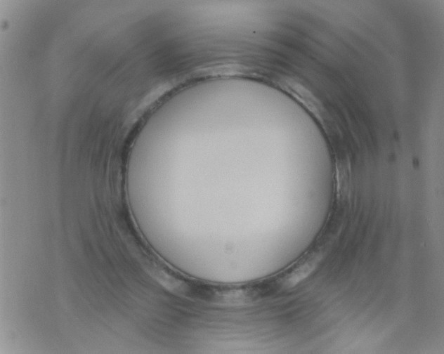 X0000073930301200609082309