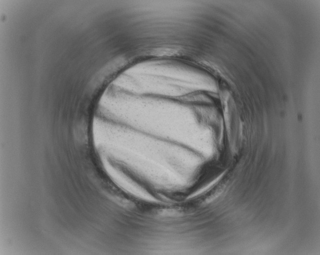 X0000073930303200609082309