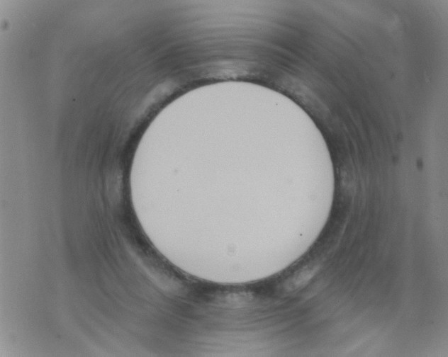 X0000073930304200609082309