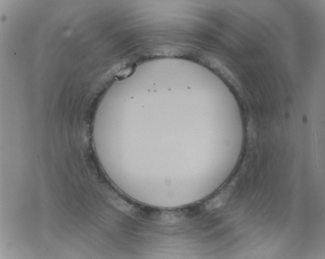 X0000073930305200609082309