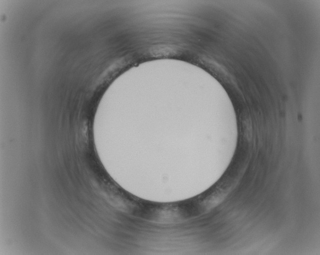 X0000073930308200609082309