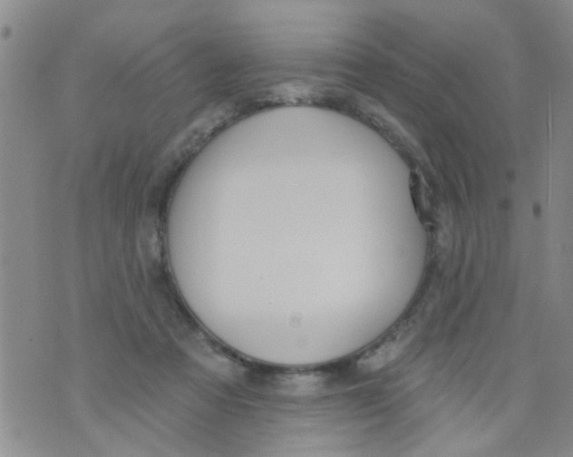 X0000073930313200609082309