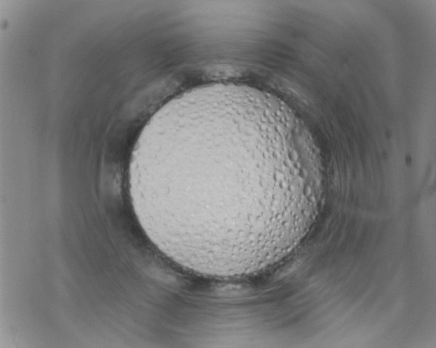 X0000073930315200609082309