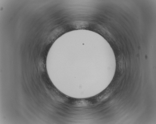 X0000073930316200609082309