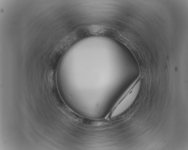 X0000073930319200609082309