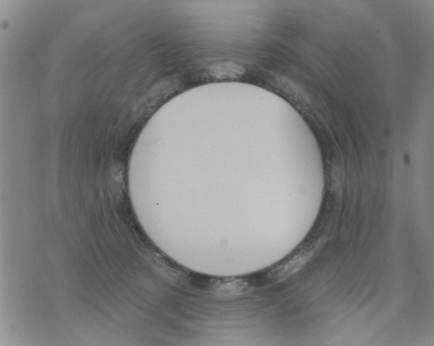 X0000073930321200609082309