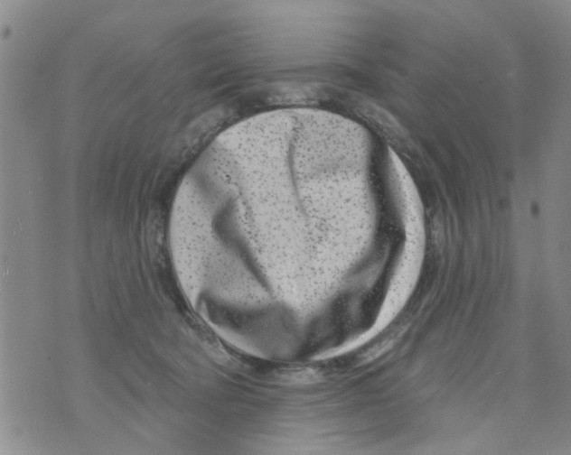 X0000073930322200609082309